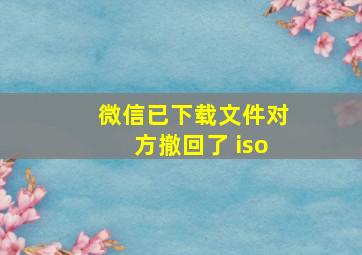 微信已下载文件对方撤回了 iso